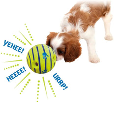 Interactive Dog Glow Ball Toy