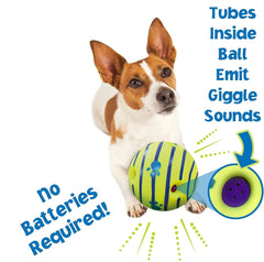 Interactive Dog Glow Ball Toy