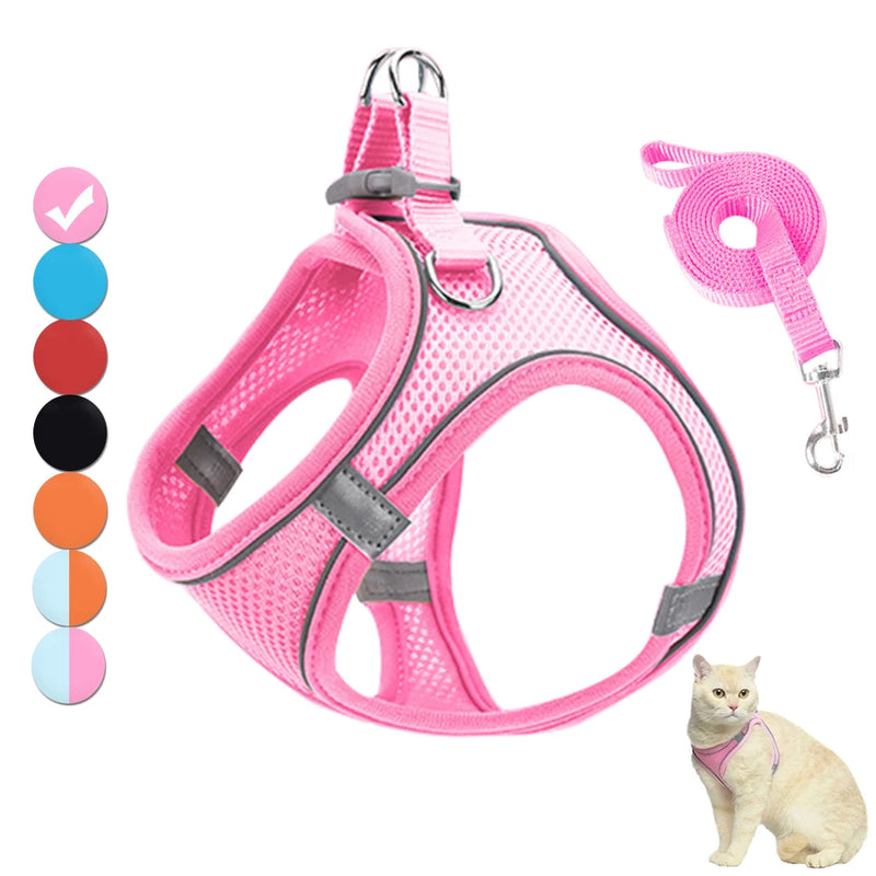 Pet Harness and Leash Set