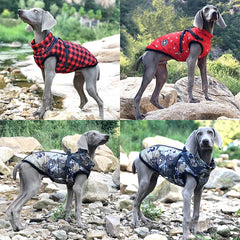 Large Pet Dog Jacket With Harness