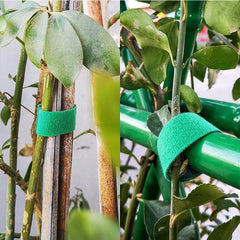 Green Garden Plant Ties