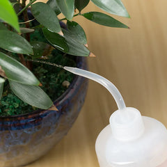 Watering Squeeze Bottle