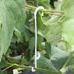 Plant Support Hook