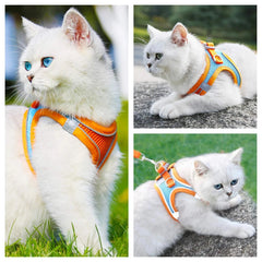 Pet Harness and Leash Set