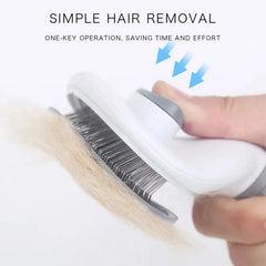 Self-Cleaning Hair Remover Brush