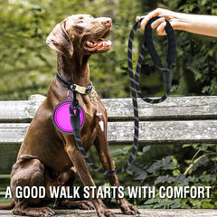 Reflective Pet Leashes