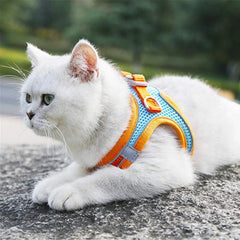 Pet Harness and Leash Set